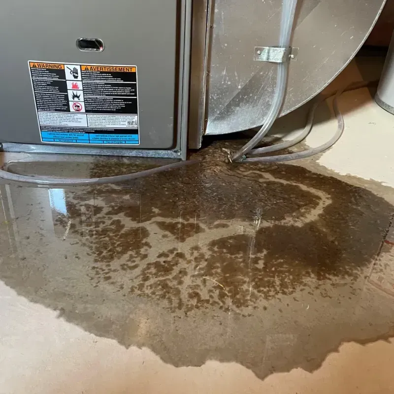 Appliance Leak Cleanup in Norfolk, NE